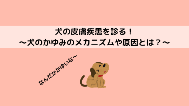 犬や猫にノミがついていた 症状や駆除方法は 予防が重要 どうぶつがーでん