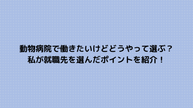 社会人だけどやっぱり獣医になりたい 動物と関わる仕事がしたい 学士編入 社会人入試とは どうぶつがーでん