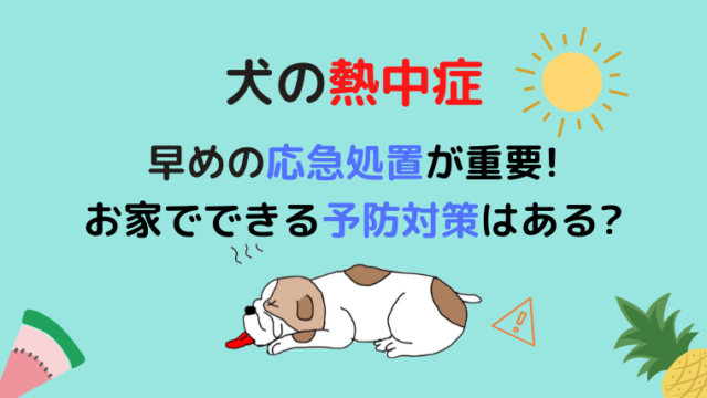 犬をバリカンで刈ったら毛が生えてこなくなった 毛刈り後脱毛症とは どうぶつがーでん