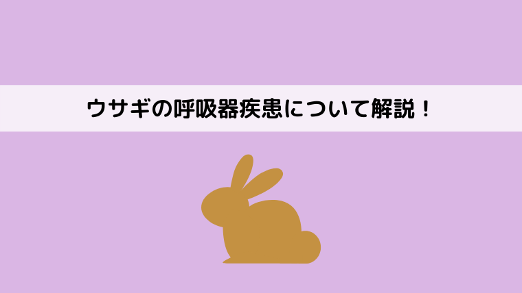 ウサギの呼吸が荒い 早い場合の原因と対処法は どうぶつがーでん