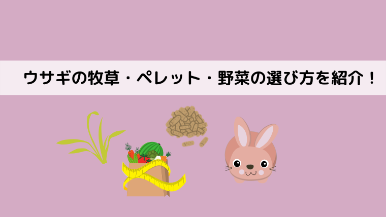 ウサギの食べ物とは 牧草 ペレット 野菜 おやつの選び方を紹介 どうぶつがーでん