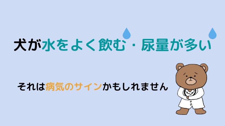 犬が水をよく飲む原因は 多飲多尿は病気のサイン どうぶつがーでん