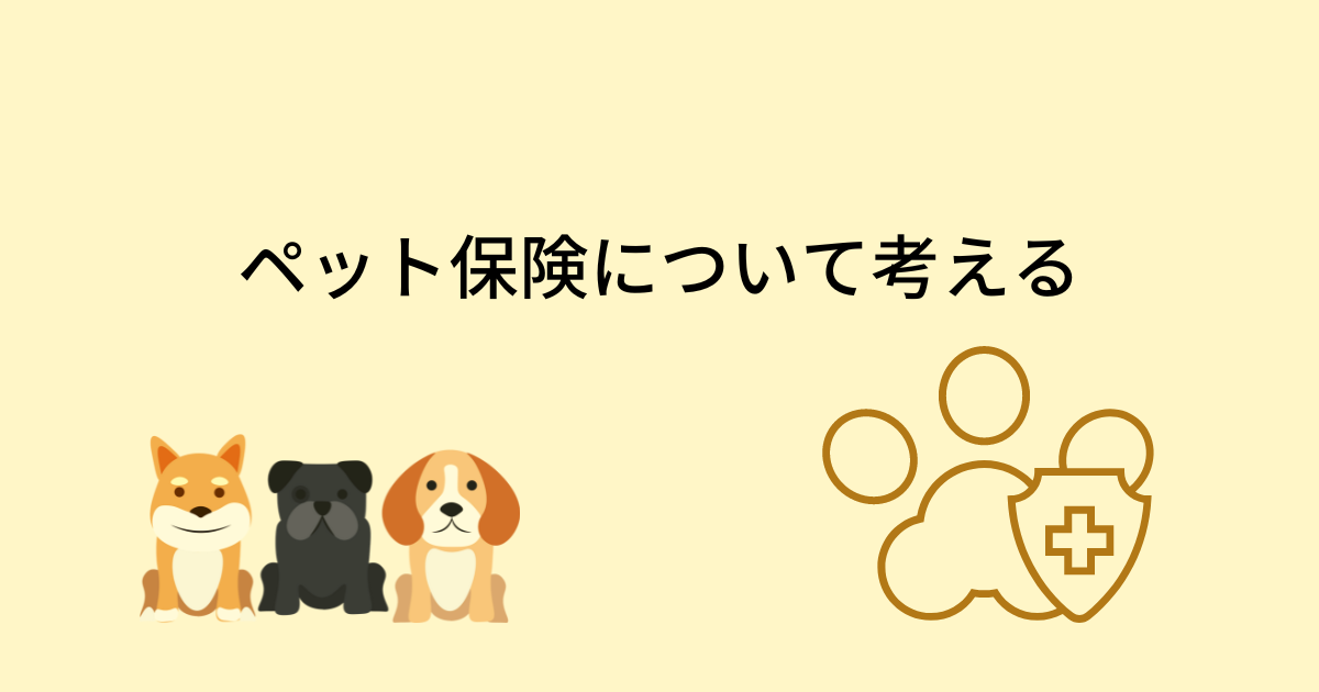 かぼちゃ
